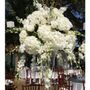 Photo of Natinel Flower Designs