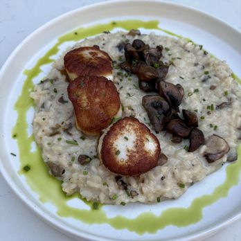 Julii - Scallops Risotto - French Near Me - North Bethesda, Maryland Julii - Scallops Risotto - French Near Me - North Bethesda, Maryland