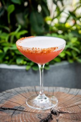 Harriet's Rooftop by null