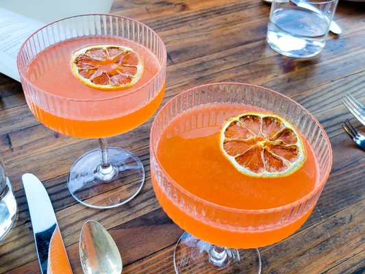 Seabird by null Seabird by null