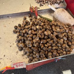 Mercato di Piazza Carlo Alberto - sea snails