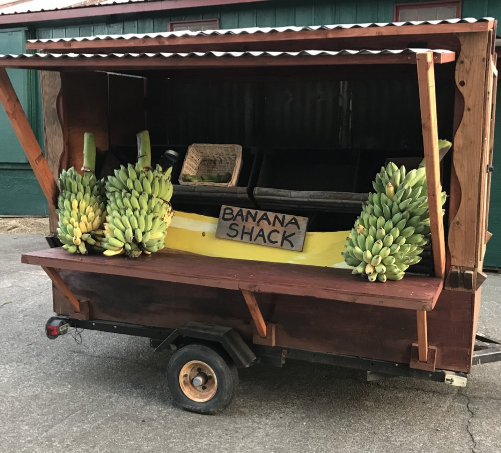 Banana Shack Logo