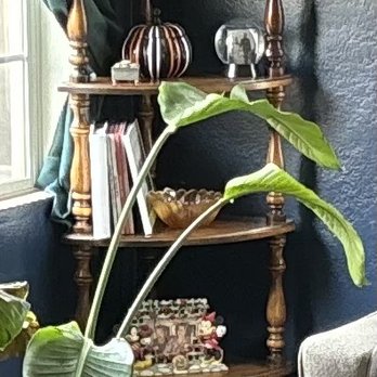 The Desert Cottage - Corner Shelf from Desert Cottage - Antiques Near Me - Palmdale , California The Desert Cottage - Corner Shelf from Desert Cottage - Antiques Near Me - Palmdale , California