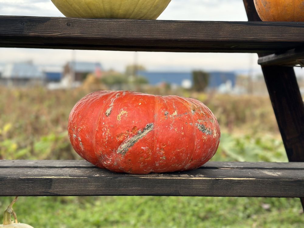 EM&K FARMS Updated October 2024 40 Desmarais Rd, Moxee, Washington