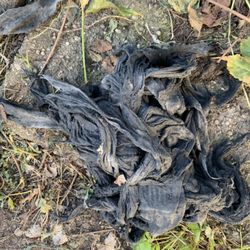 RZ Sewer Drain & Maintenance