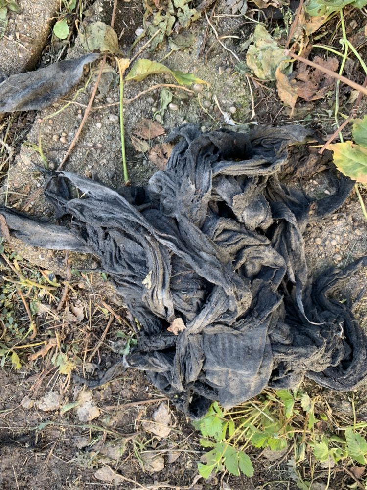 Slide of RZ Sewer Drain & Maintenance