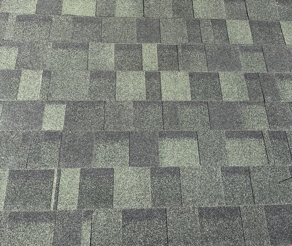 Slide of NxtLvl Roof