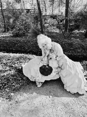 Texas Renaissance Festival by null