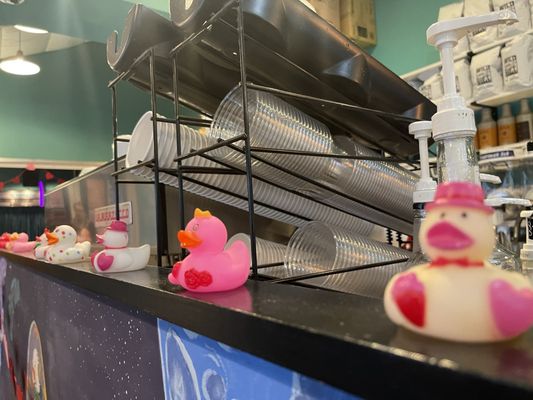 Captain Quack's Bakery and Coffeehouse by null