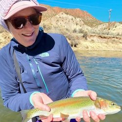 Rainbow trout March 2026