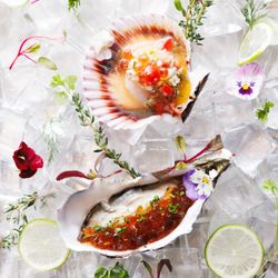 Tsukiyo Sushi - Signature Crudo