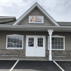 My Pet's Brace - Pittsburgh