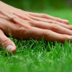 Ryno Lawn Care