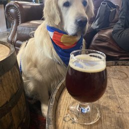 Nice variety of beers on tap and dog friendly.