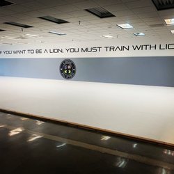 Logic Jiu Jitsu Club - Photo of main training mat with the quote "If you want to be a Lion, you must train with Lions".