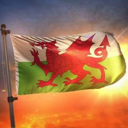 Business Drive Wales