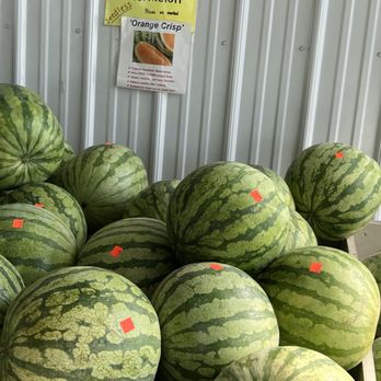Everfresh Produce - Special watermelon - Farmers Market Near Me - New Holland, Pennsylvania Everfresh Produce - Special watermelon - Farmers Market Near Me - New Holland, Pennsylvania