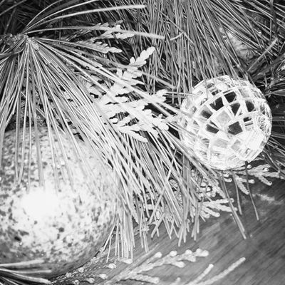 Inn On Columbia by null