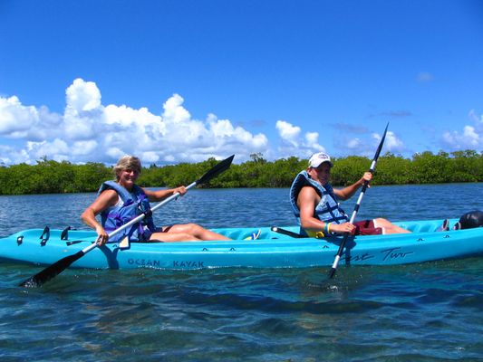 Virgin Islands Ecotours - St. Thomas by null