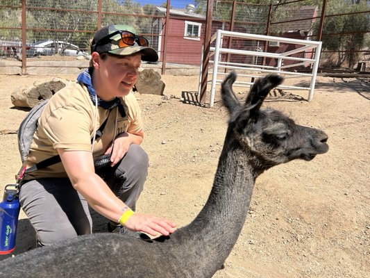 The Gentle Barn by null