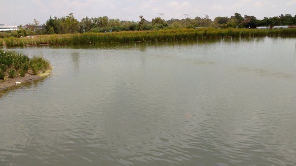 Museo Internacional del Barroco by null