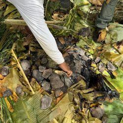 Hawaii Survival School