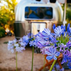 Caravan Outpost - Gorgeous gardens - curated by Caravan Outpost!