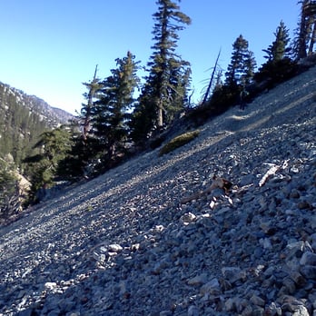 Cucamonga Peak - view of the trail and surrounds on the way to the peak - Hiking Near Me - Mount Baldy, California Cucamonga Peak - view of the trail and surrounds on the way to the peak - Hiking Near Me - Mount Baldy, California
