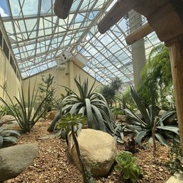 The Desert Garden Area