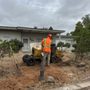 Wilson Tree Service