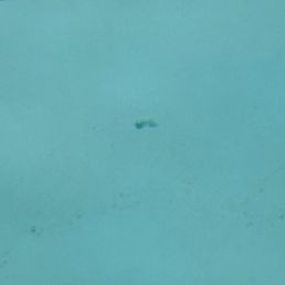 Dirty pool Dirty pool