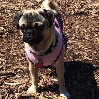 McKinney Dog Park - Dog Parks Near Me - McKinney, Texas