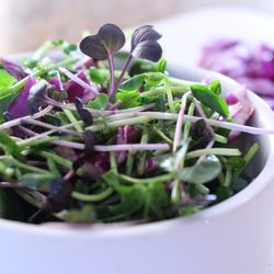 Perfect Foods - Super-Salad with Microgreens