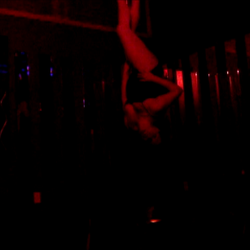 Sedusa Studio - Go upside down in less than 5 hours of instruction!