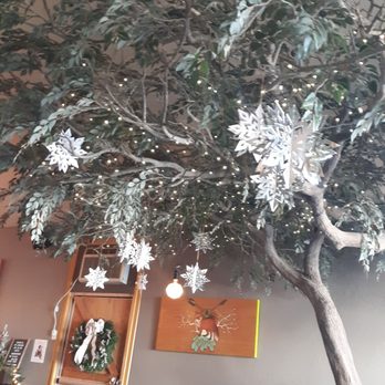 Kava Collective - Giant tree inside with lights - Bars Near Me - San Diego, California Kava Collective - Giant tree inside with lights - Bars Near Me - San Diego, California