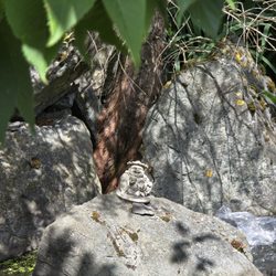 Vietnamese Buddhist Meditation Center