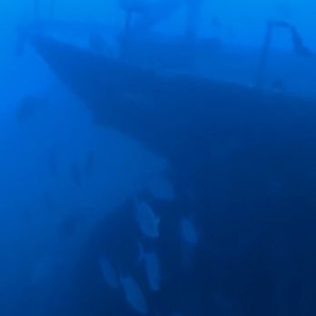 Atlantis Submarines - Sunken ship - Tours Near Me - Lahaina, Hawaii Atlantis Submarines - Sunken ship - Tours Near Me - Lahaina, Hawaii