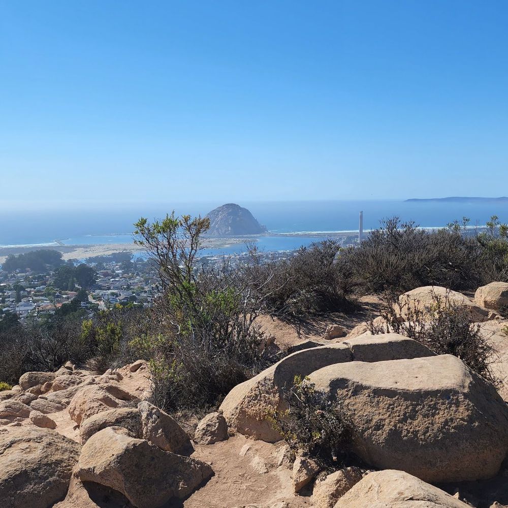 Morro Bay National Estuary Program - Community Service/Non-Profit Near Me - Morro Bay, California Morro Bay National Estuary Program - Community Service/Non-Profit Near Me - Morro Bay, California
