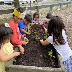 American Montessori School - Gardening Time at Hillsborough Preschool