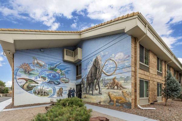 Best Western Denver Southwest by null