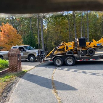 JD Tree Service - Tree Services Near Me - Culpeper, Virginia