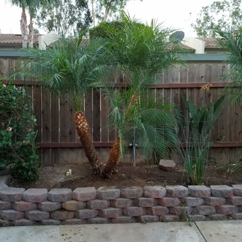 Lucero Tree Service - Tree Services Near Me Lucero Tree Service - Tree Services Near Me