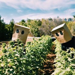 Rancho Bernardo Pumpkin Farm - My friends doing a photoshoot in the sunflower patch