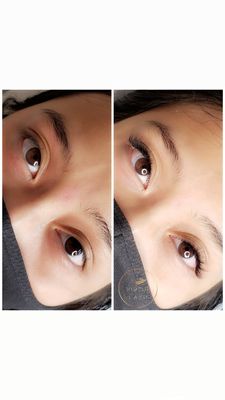 Virtue Lash by null