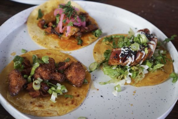 Wild Taco Denver by null