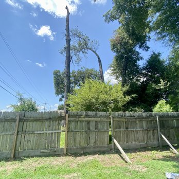 Foxx Tree Service - Landscaping Near Me - Monroe, Louisiana Foxx Tree Service - Landscaping Near Me - Monroe, Louisiana