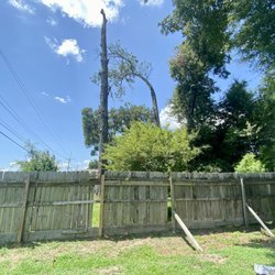 Foxx Tree Service