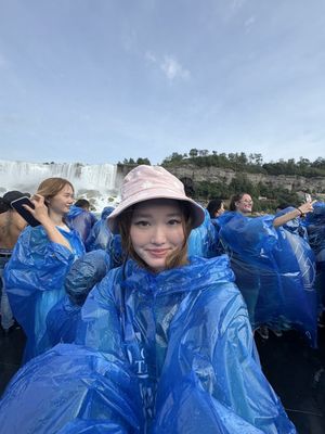 Maid of the Mist by null