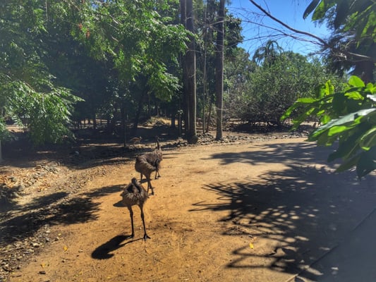 Wildlife Habitat by null