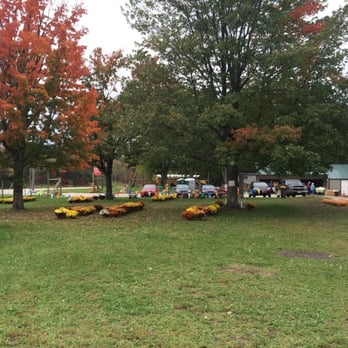 Sekapp Orchard - Mums for sale - Fruits & Veggies Near Me - Rochester, Minnesota